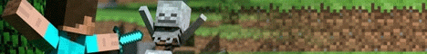 Server banner