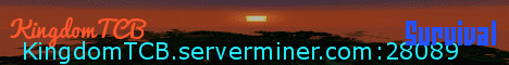 Server banner