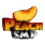 play.Peachsmp.net icon